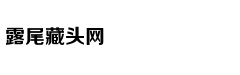 蔚来的“危险游戏”：首款轿车项目已内部叫停